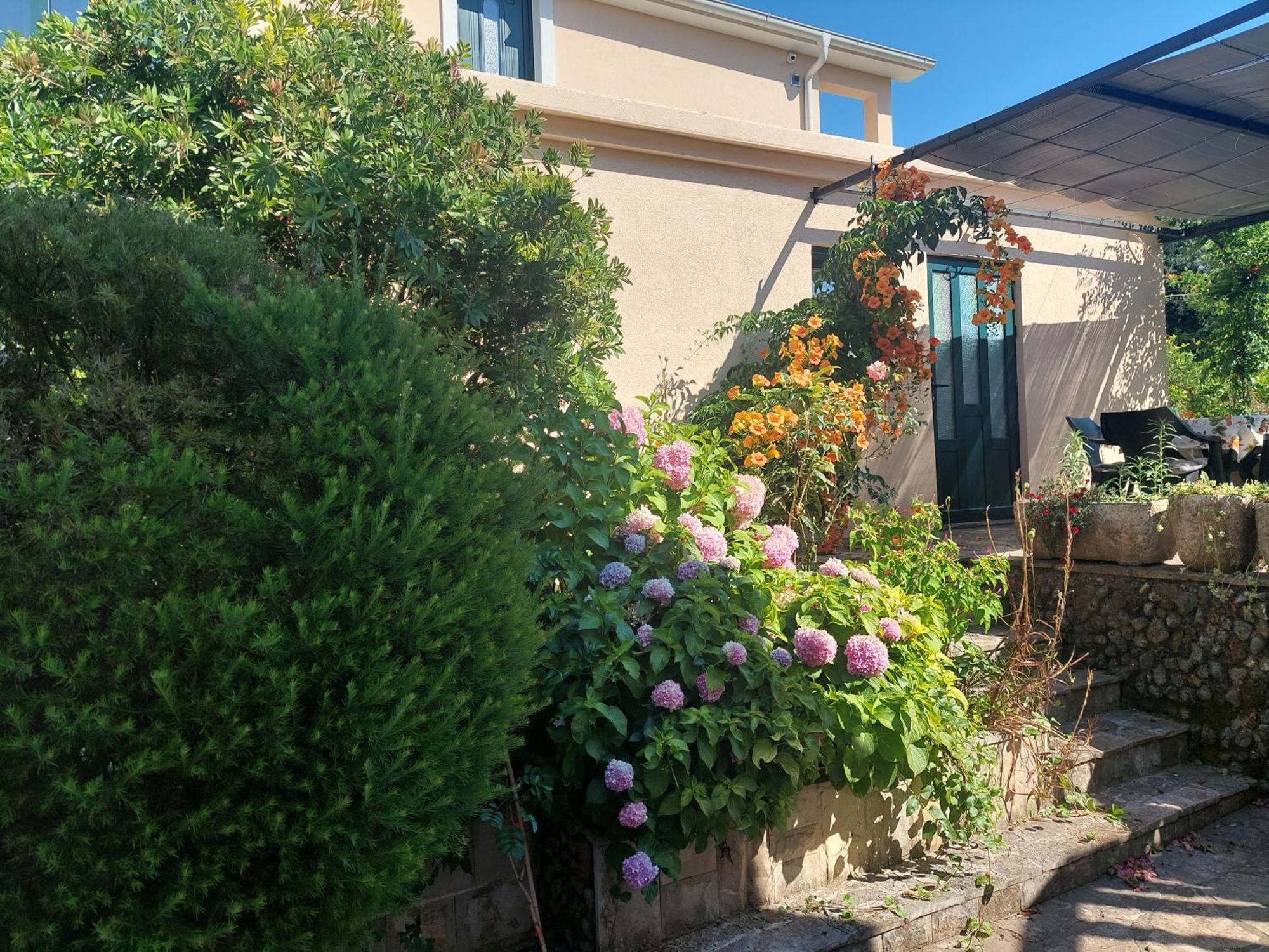 Kjara Apartments Тиват Екстериор снимка