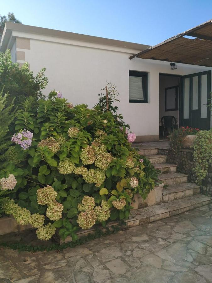 Kjara Apartments Тиват Екстериор снимка
